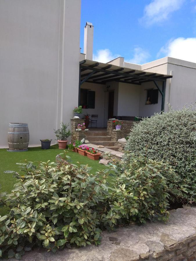 Ampeloessa Apartment Mesi  Exterior photo